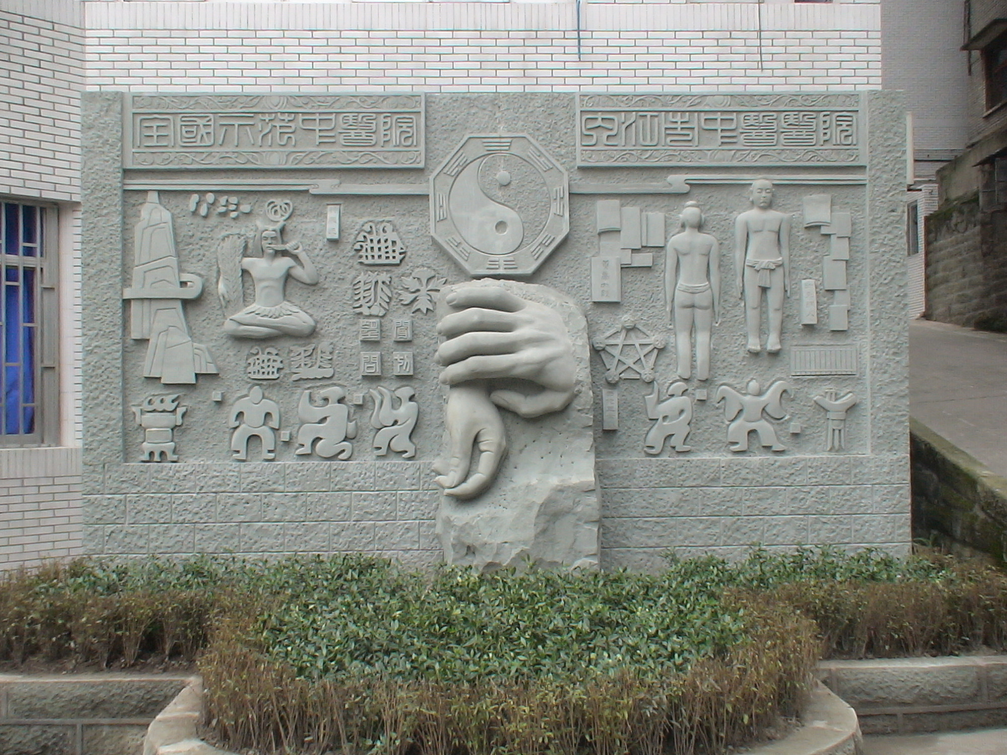 杏林文化墙