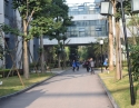 内部环境
