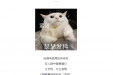 流感“猛如虎”！防护指南，教你稳过高发季！