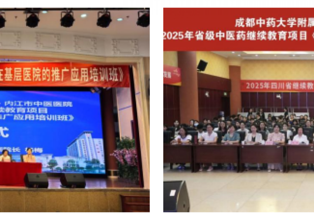 我院成功举办省中医药继教项目《杵针疗法在基层医院的推广应用培训班》